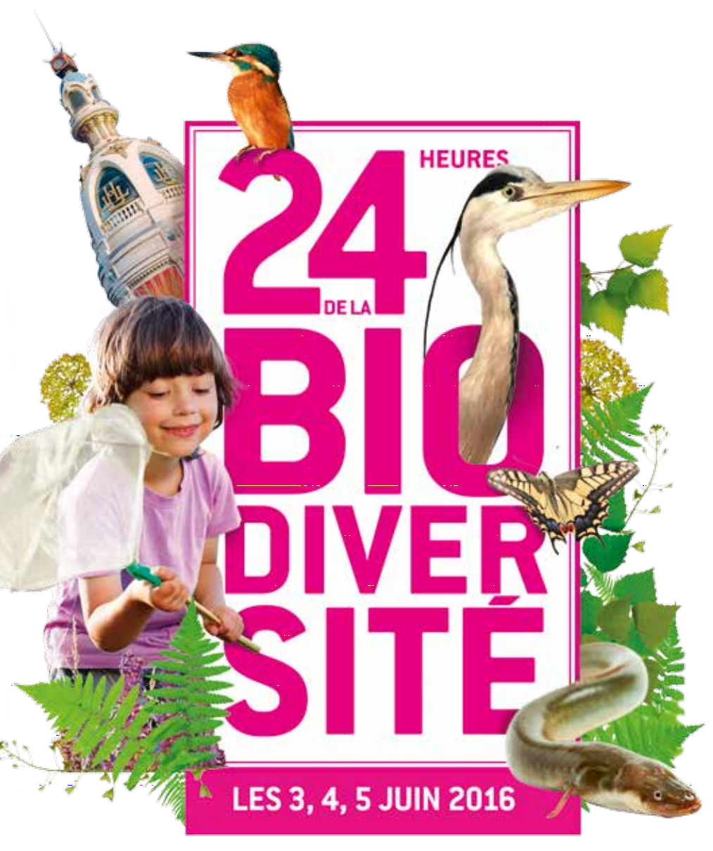 Bretagne Vivante à Nantes : les 24 heures de la biodiversité