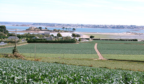 Produire ET résider sur le littoral en Bretagne !